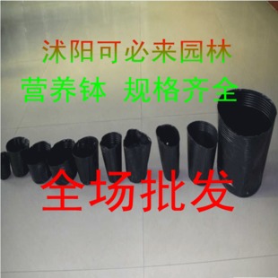 批发软塑料花盆 育苗营养钵 育苗盆 营养钵 种苗营养钵 规格*