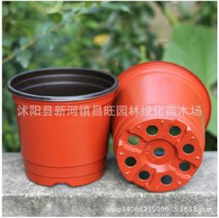 加厚双色花盆批发摔不坏花盆 塑料花盆 营养钵育苗盆 园艺用品