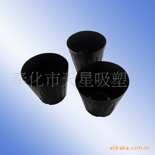 营养钵 育苗杯 育苗钵 (盘)穴盘