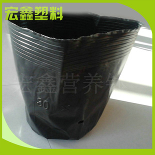 生产销售优质可降解育苗钵 规格*园林的塑料营养钵