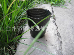 花卉、农业专用优质营养钵(6*6cm)