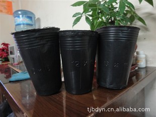 长日照大强度超韧性十三乘十六苗木专用塑料花盆营养钵