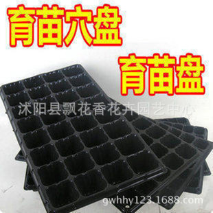 批发育苗穴盘 营养钵加厚育苗盘 高质量标准花卉蔬菜 穴盘
