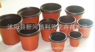 双色花盆 育苗盆 营养钵 花盆批发