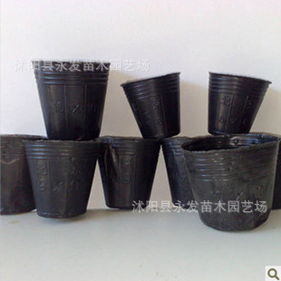 优质花盆 加厚防老化营养钵 塑料 营养袋 营养杯批发质量加厚