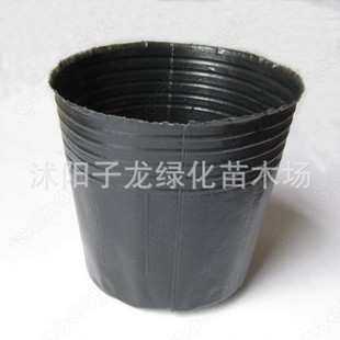 厂家直销批发 营养钵营养杯育苗杯 月销百万规格* 量大价更优