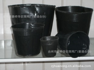 żӪ15cm*13cm