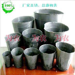԰ֻרӪ Ӫ * ھ10*10