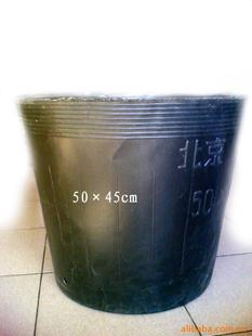 ľӪӪ45*33