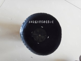 15X13Ӫ 粧
