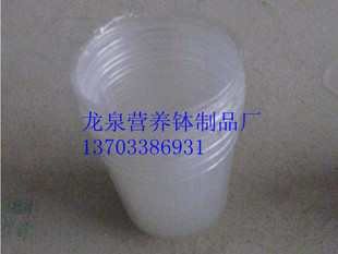 ֱ  Ӫ 籭 ֲ