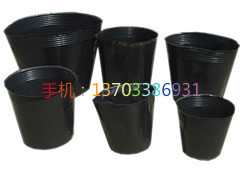 ֱӪ 籭 ֲ