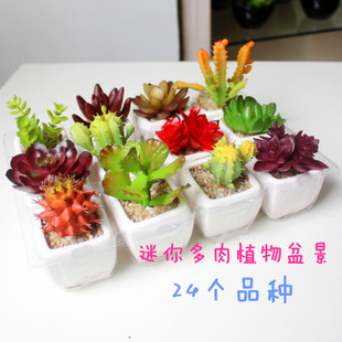 迷你小白四方多肉盆景 仿真花 仿真多肉植物 厂家直销 仿真植物