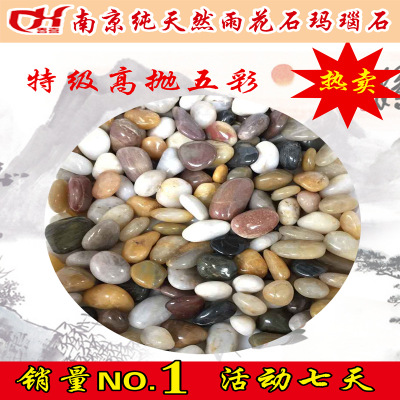 热卖!纯天然雨花石 南京原产地鹅卵石批发 精品五彩 家装园林垫
