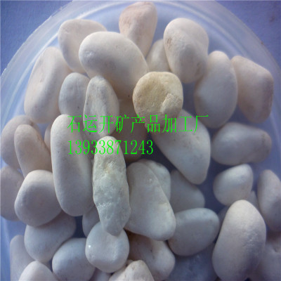 厂家大量销售鹅卵石,机制鹅卵石,白色鹅卵石,彩色鹅卵石