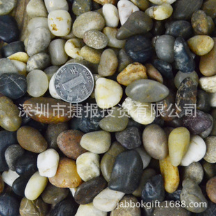 *鹅卵石 雨花石 沙滩丛林造景必备 苔藓多肉微景观生态瓶DIY配件
