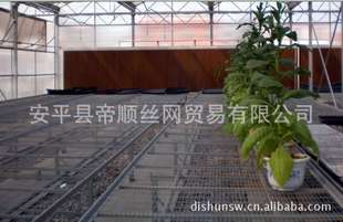 ֲ|紲|ֲ||ȶпƬ|紲|ֲ