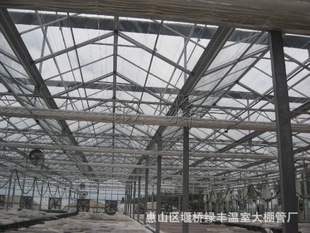 Эͻн ƷʲҴ רҵ ɱ*