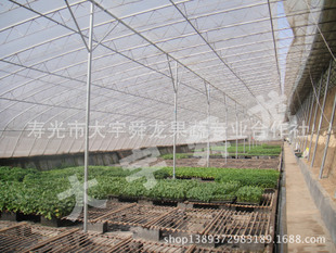 ǽּ߲˴ ˫ֹܸǼܴҹ̽