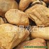广东英德园林景观石黄蜡石