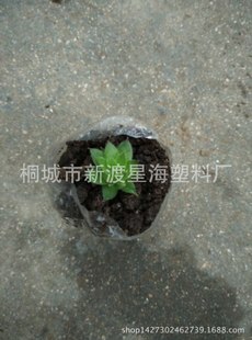 ֱ7x13Ӫ籭԰Ʒ