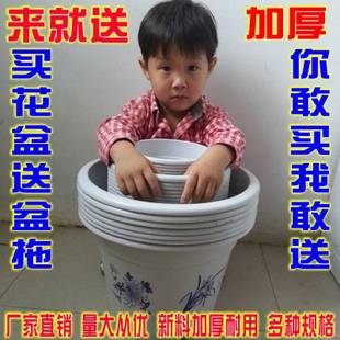 ϻ ֹӺ Ӫ ԰ֲ辰 