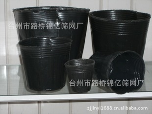 ̼ɻûӪ13cm*12cm