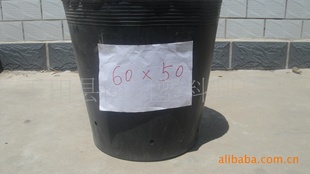 شרӪ60*50