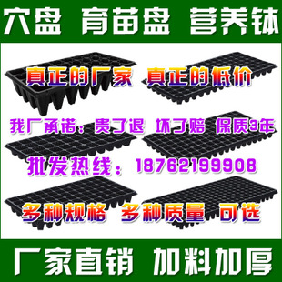  Ӫ ߲˻Ӫ *ϻ Ӻ