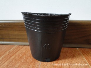 ȫƳӪӪ籭۸ʵݣϸ