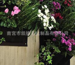 批发种植袋/墙体绿化/植物墙/立体绿化/阳台/壁挂无纺布种植毯