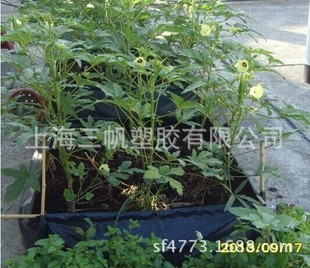 订做植树袋 种植袋无纺布生产 低价质量好美植袋