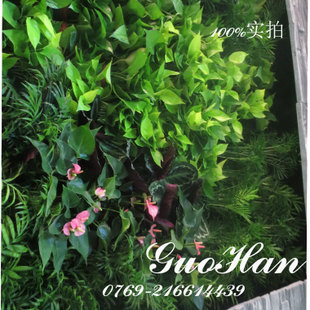 垂直绿化国汉种植袋 特价植物墙批发 植物墙口袋 立体种植盆