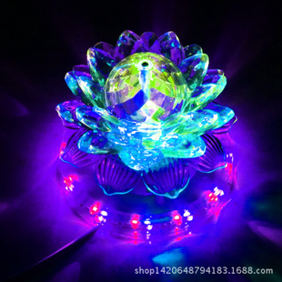 ledɵ߲ʵħʵ̨ƾ߾ưɵW