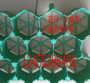 ֲݸ ƺ ֲݸ ƺש H70mm