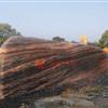 广东黄水石、黄皮石、英德德鑫批发基地