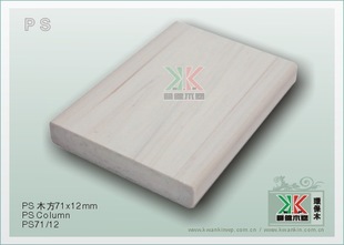 71*12mm PSʵľ