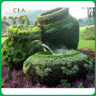ڳCIA̵ֲ ԰־ֲ 涯ֲﾰ۵ܶ