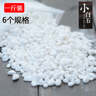 园艺白石子石头白色 鱼缸装饰铺地鹅卵石雨花石 500克一袋