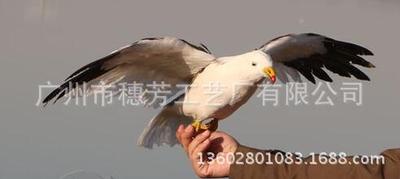 뷼ճ־۵ܣ㳡ϵܣ԰͵