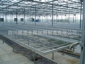 Դ紲 ƶ紲 紲 ɶ紲ֱ