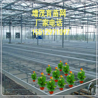 ɽ紲*/ӱֻ۳ ɳʹ