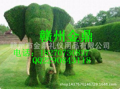 涯 ԰װξ̵ Ͷ͵ܼɫݲݵ