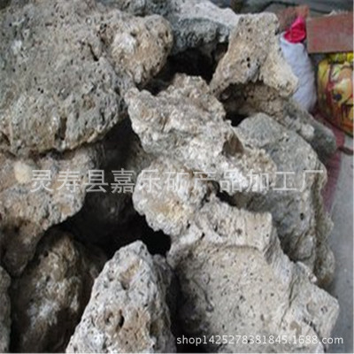 天然珊瑚石 珊瑚砂滤料 鱼缸用珊瑚石