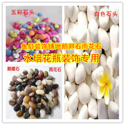 园艺白石子石头五彩石 鱼缸装饰铺地鹅卵石雨花石半斤一袋