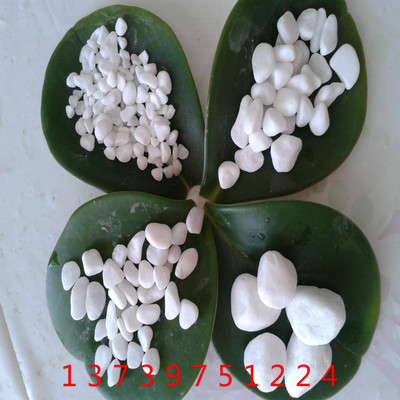厂家生产销售 天然 /机制 /抛光 白色鹅卵石 、白色石子