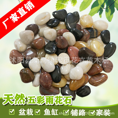 家装石高抛光鱼缸石 铺路石天然五彩雨花石小粒鹅卵石