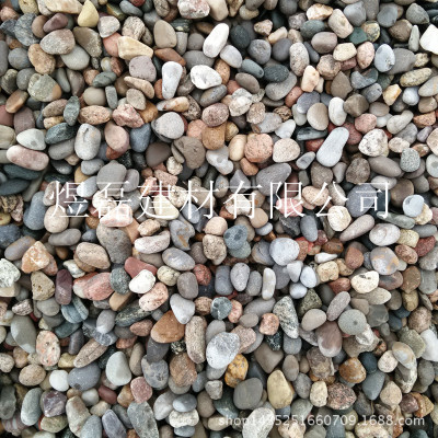 厂家 天然鹅卵石 雨花石 小碎石 砾石 铺路用 造景用 装饰