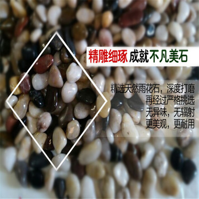 天然雨花石批发/小粒鹅卵石/水仙花石/高抛光/鱼缸石/