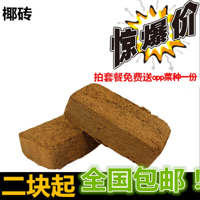 ҬשлӪҬҬֲֲ